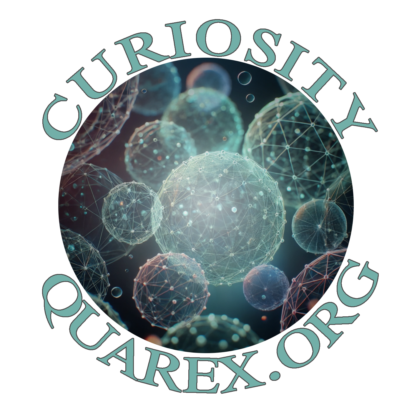 Quarex logo with teal text